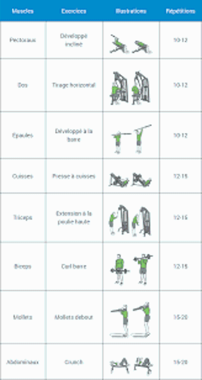 Quel exercice pour debuter la musculation ?