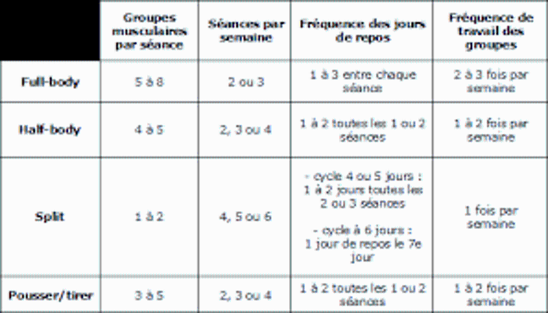 Comment commencer sa séance de muscu ?