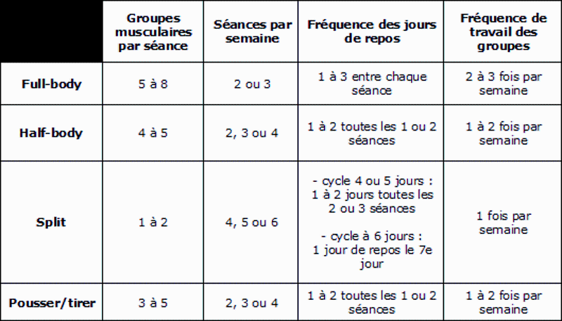 Comment construire un programme de musculation femme