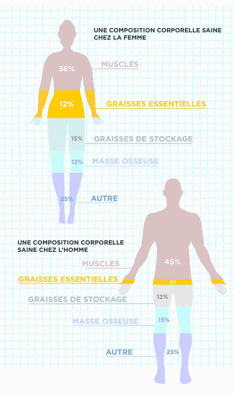 Quel pourcentage de muscle pour une femme ?