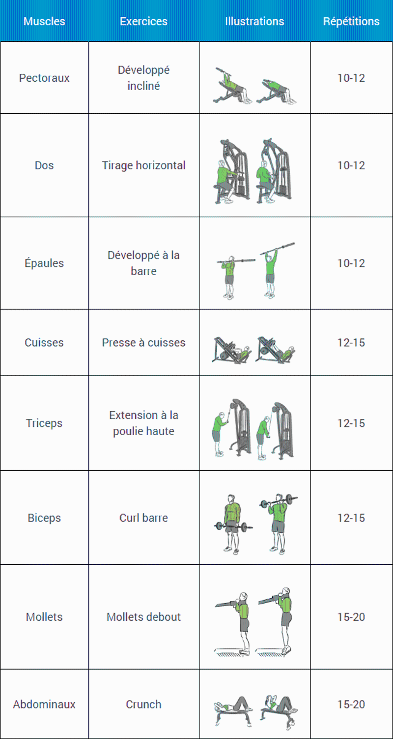 Quel est le meilleur programme pour la musculation ?