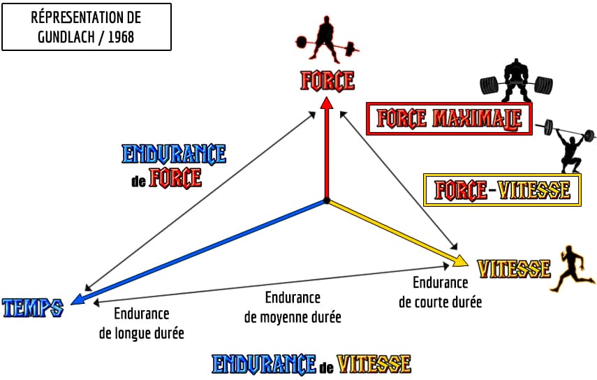 C'est quoi l'endurance de force ?