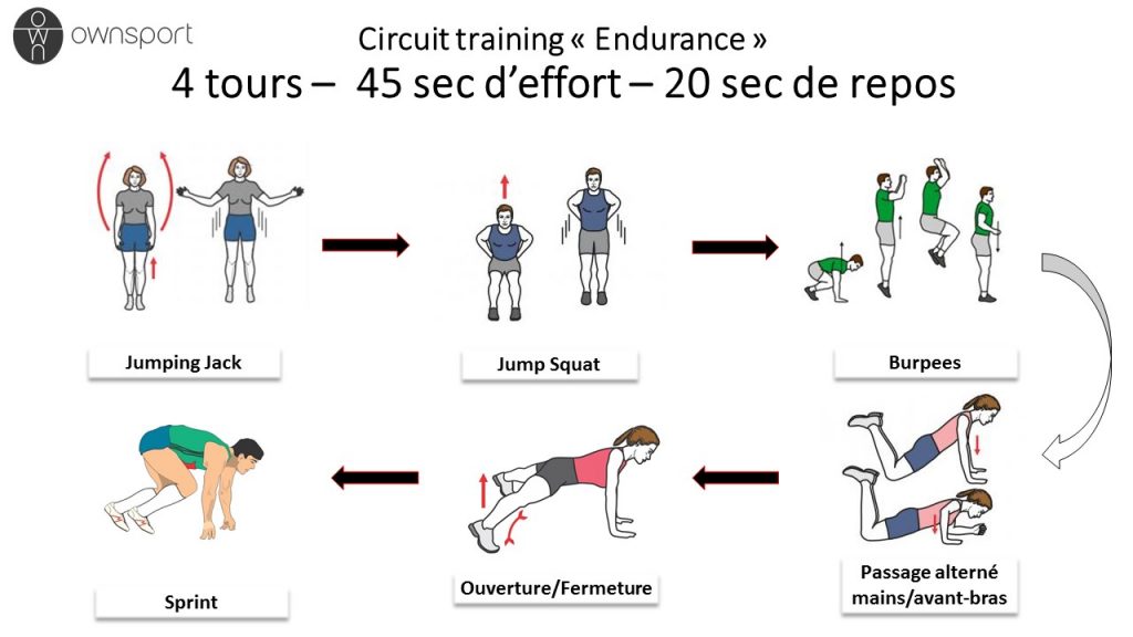 circuit cardio training musculation