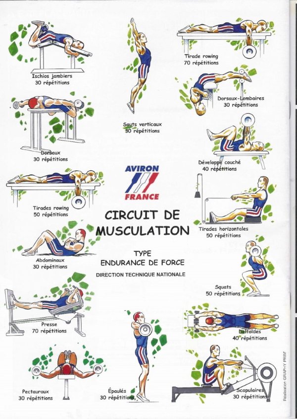 Comment améliorer l'endurance de force ?