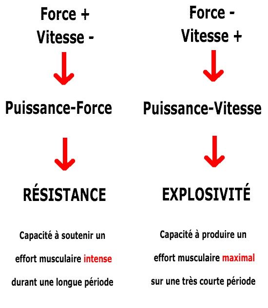 Comment améliorer la force musculaire et la puissance explosive en même temps