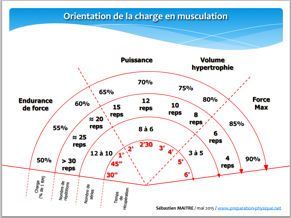 Comment faire un cycle de force ?