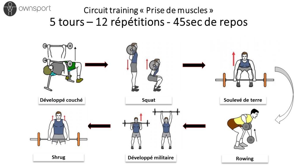 Comment faire un programme de circuit training ?