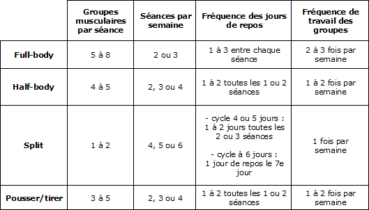 Comment faire un programme de renforcement musculaire ?