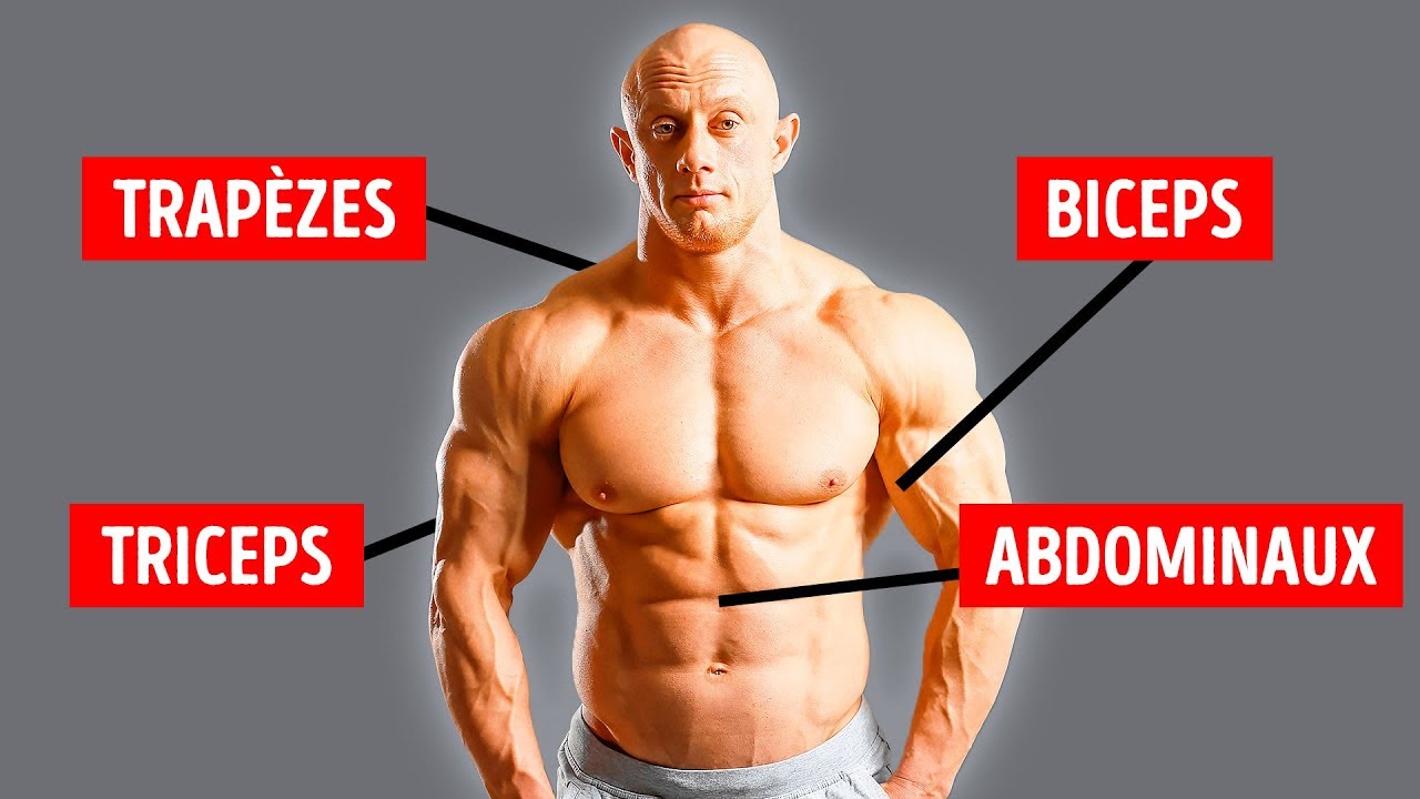 Comment muscler tout son corps rapidement ?