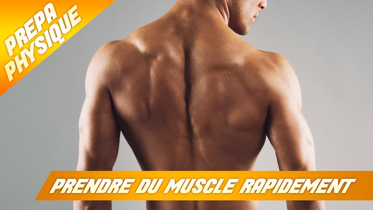 Comment prendre du volume musculaire rapidement ?