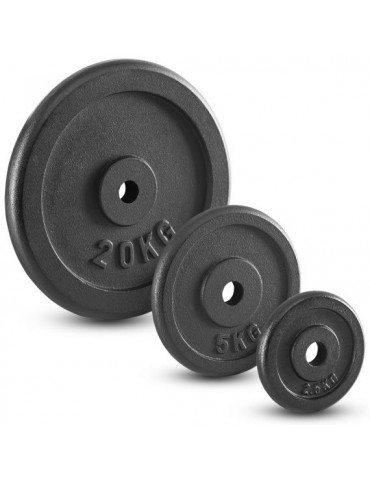 disques musculation 20 kg