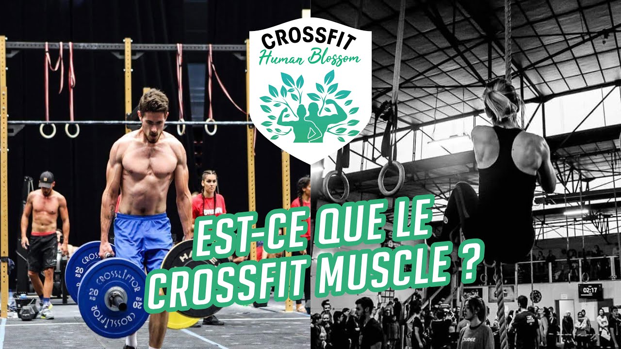 Est-ce que le fitness muscle ?