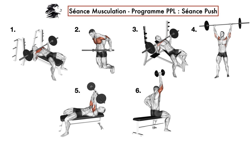 exercice push musculation