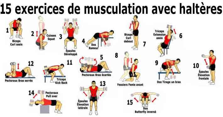 Exercices de musculation courants et exemples