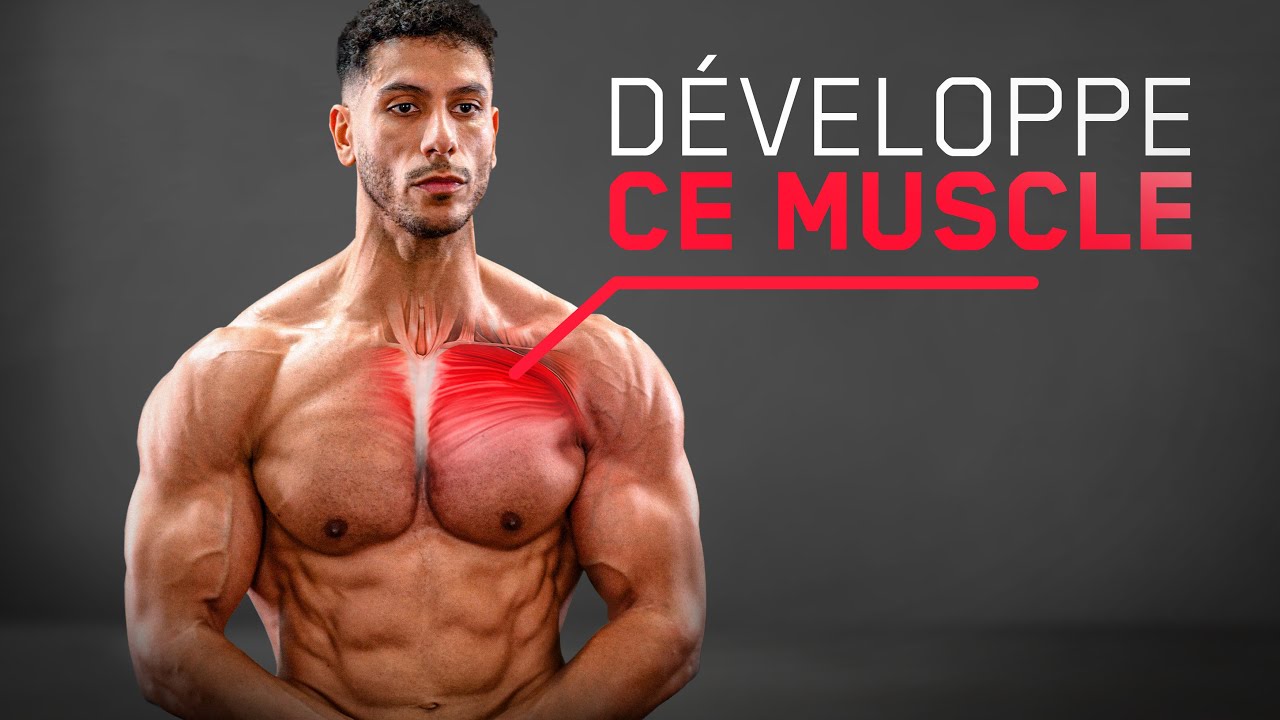 musculation haut des pectoraux