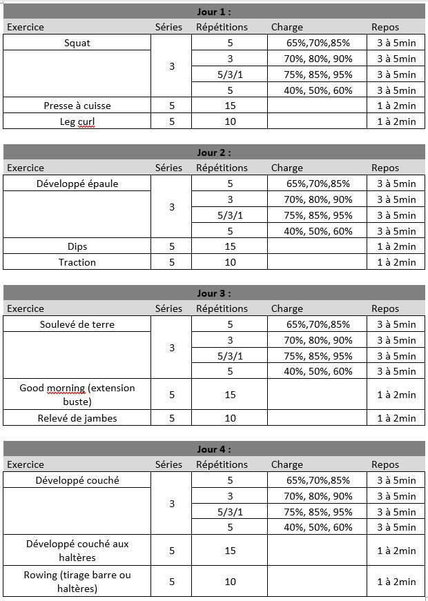 musculation programme force