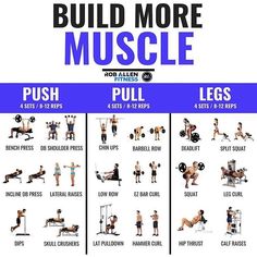 musculation push pull