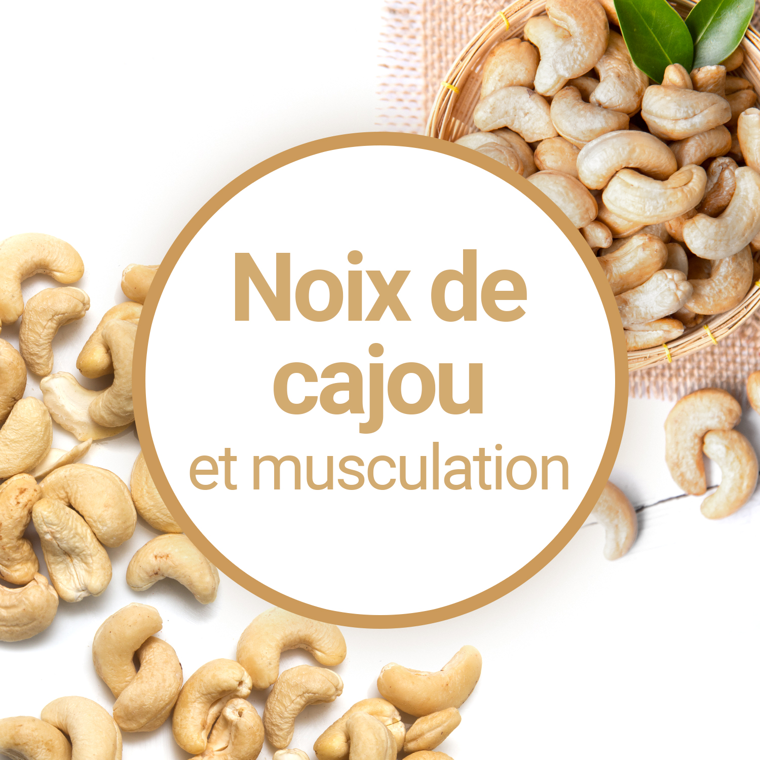 noix de cajoux musculation