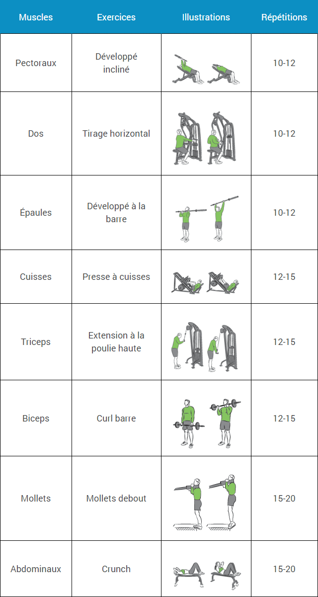 plan de musculation gratuit