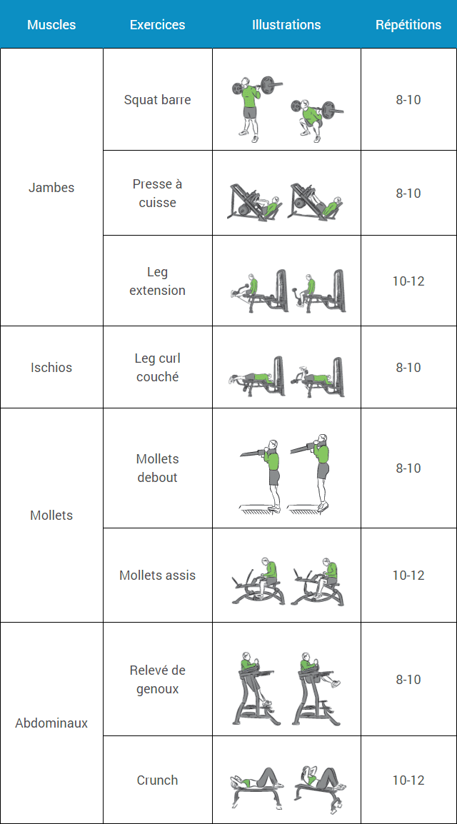 programme musculation 2 fois par semaine pdf