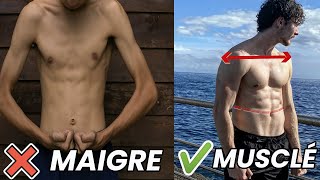 programme musculation ectomorphe