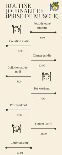 programme musculation pour ectomorphe