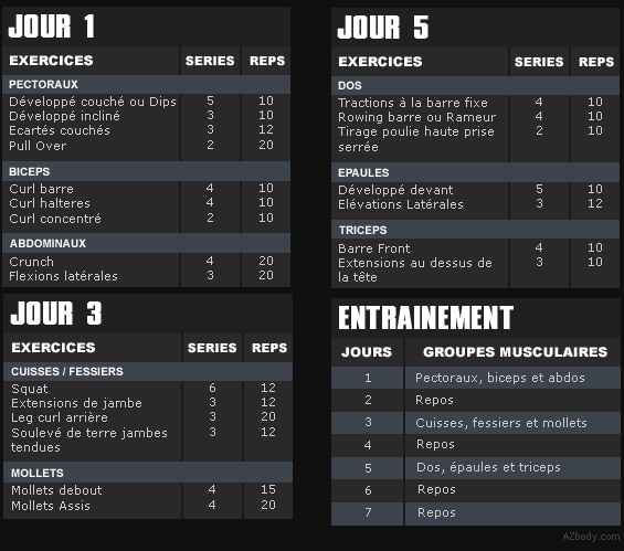 programme musculation split