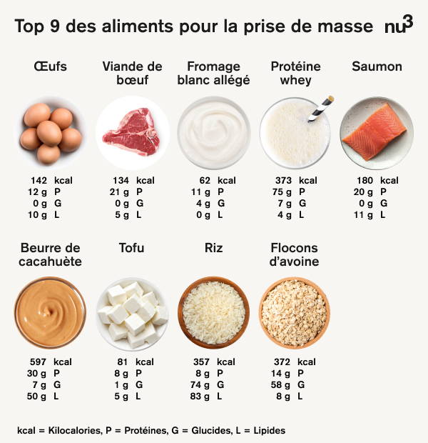 Qu'est-ce qui fait augmenter la masse musculaire ?