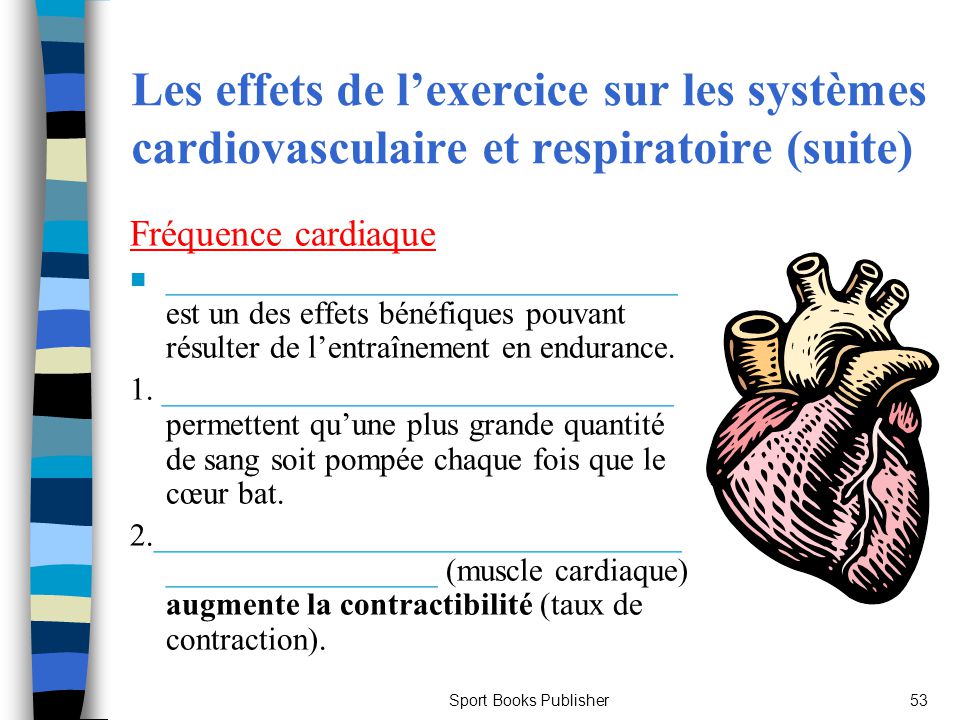 Quel est le rôle de l'entraînement sur l'activité cardiaque et respiratoire ?