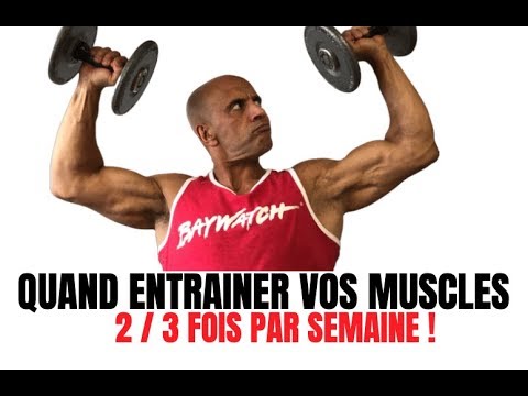 Quel muscle travailler 3 fois par semaine ?