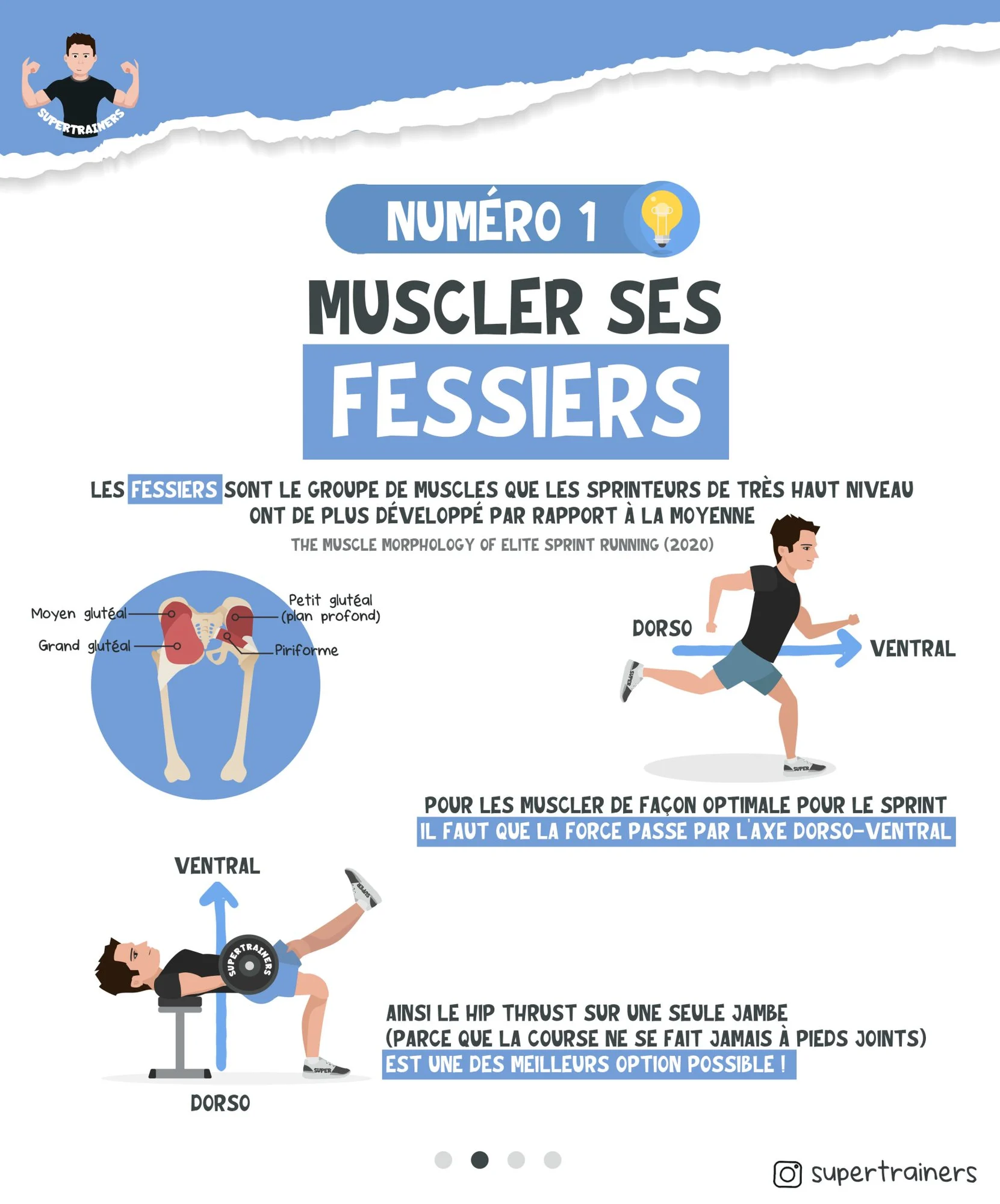 Quel muscle travailler pour être plus rapide ?