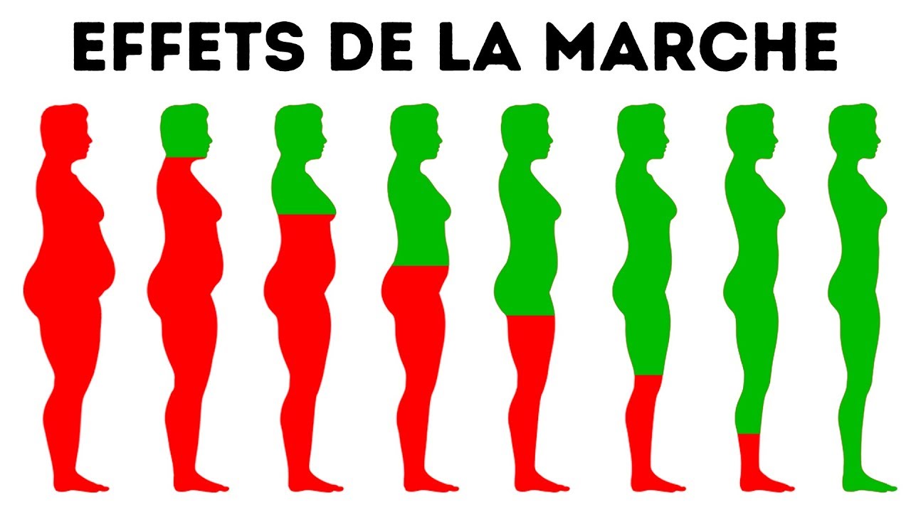 Quelle partie du corps la marche fait maigrir ?