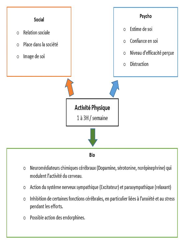 Quelles sont les incidences de la pratique physique sur les dimensions psychologiques et sur les relations sociales ?