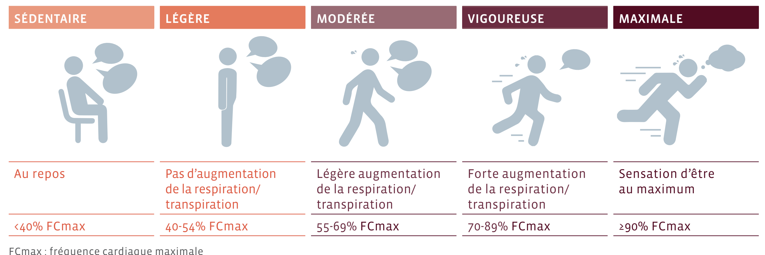 Quels sont les 3 grands niveaux d'activités physiques ?