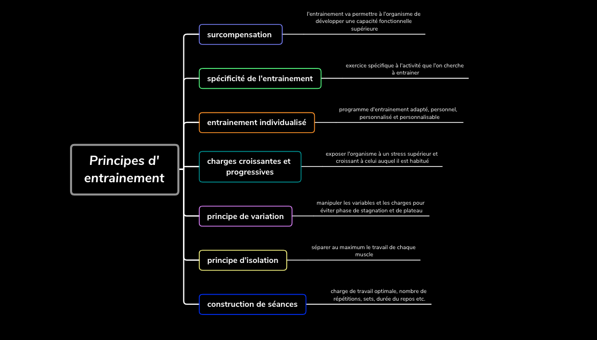 Quels sont les 3 principes d'entraînement ?