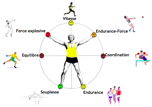 Quels sont les 5 qualités physiques ?