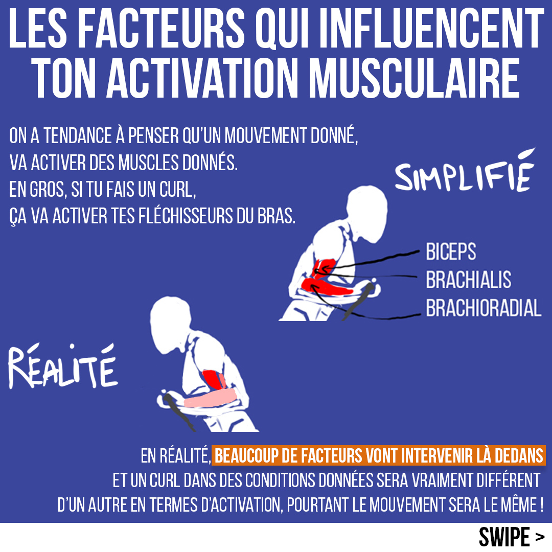 Quels sont les facteurs qui aident à produire la force musculaire ?