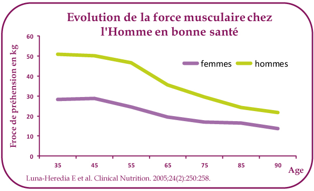 Quels sont les impacts de l'âge sur la force musculaire ?