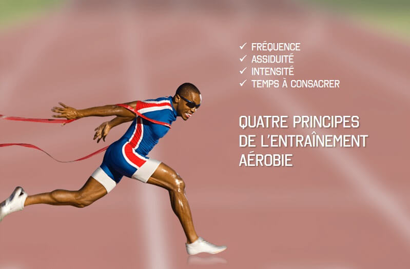 Quels sont les quatre 4 principes communs à l'entraînement aérobie et à l'entraînement musculaire ?